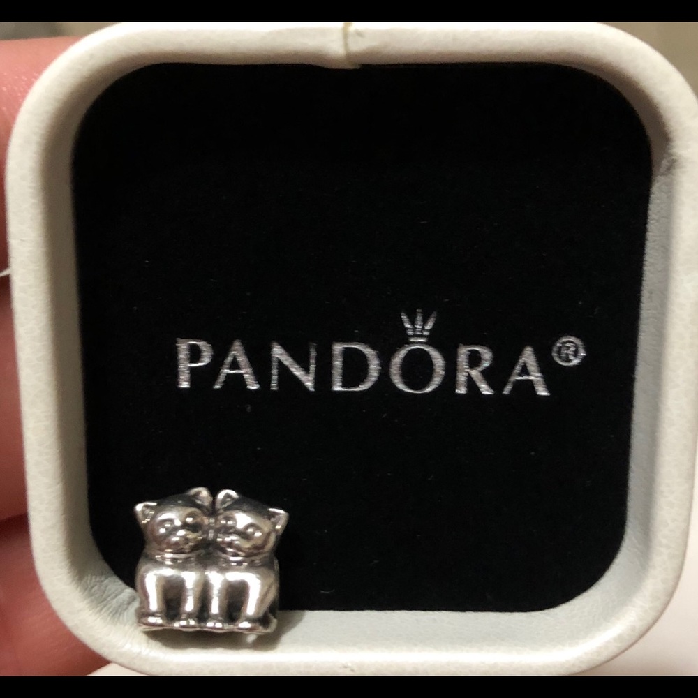 Authentic Pandora “perrrfect pair” charm